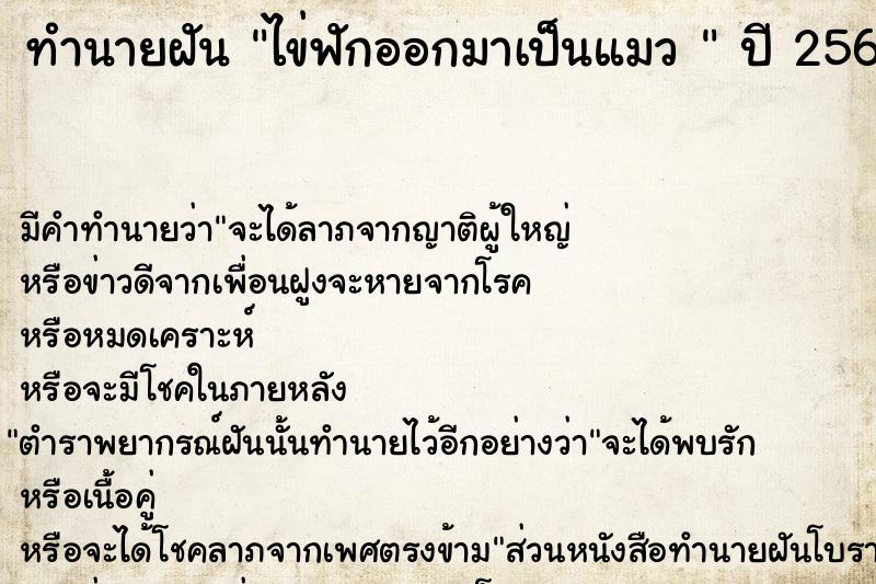 ทำนายฝัน ไข่ฟักออกมาเป็นแมว 